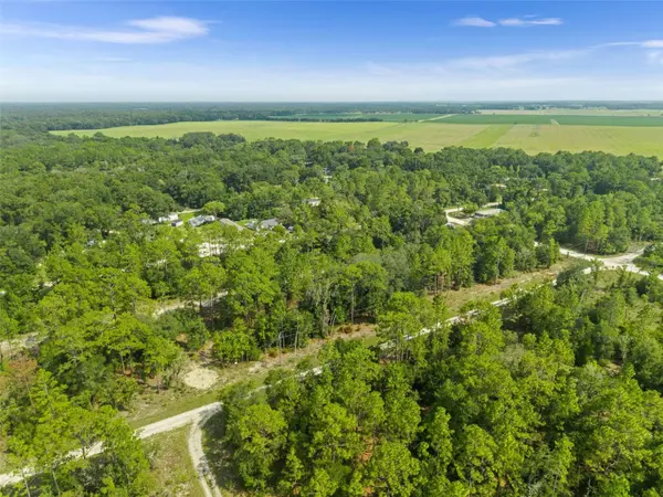 NE 156TH CT, Williston, FL 32696