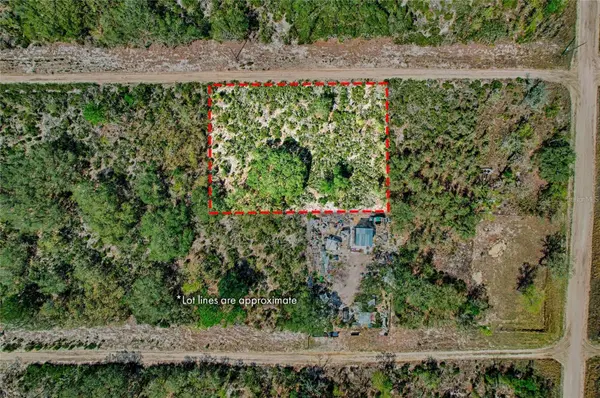 000 NE 68TH PL, Williston, FL 32696