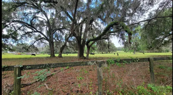 NW 128TH TER #Lot 37, Reddick, FL 32686