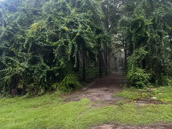 TBD NW 167TH PL, Trenton, FL 32693
