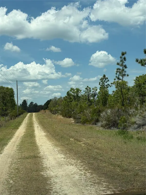 NE 110TH AVE, Bronson, FL 32621