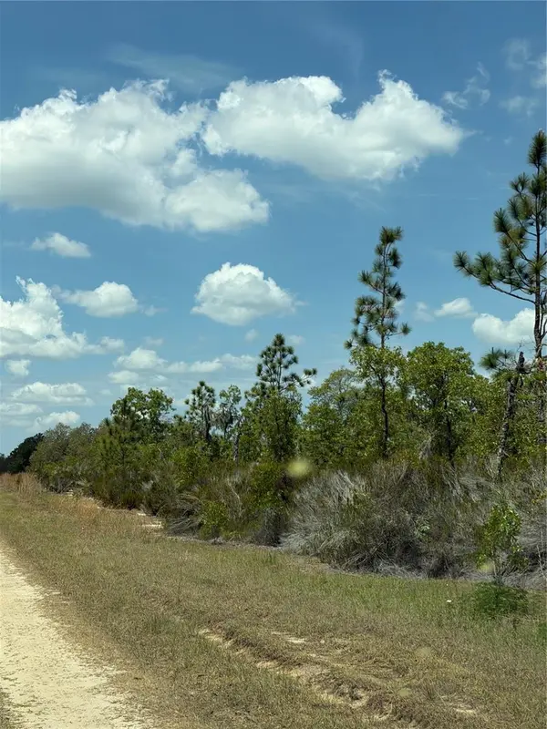 NE 110TH AVE, Bronson, FL 32621