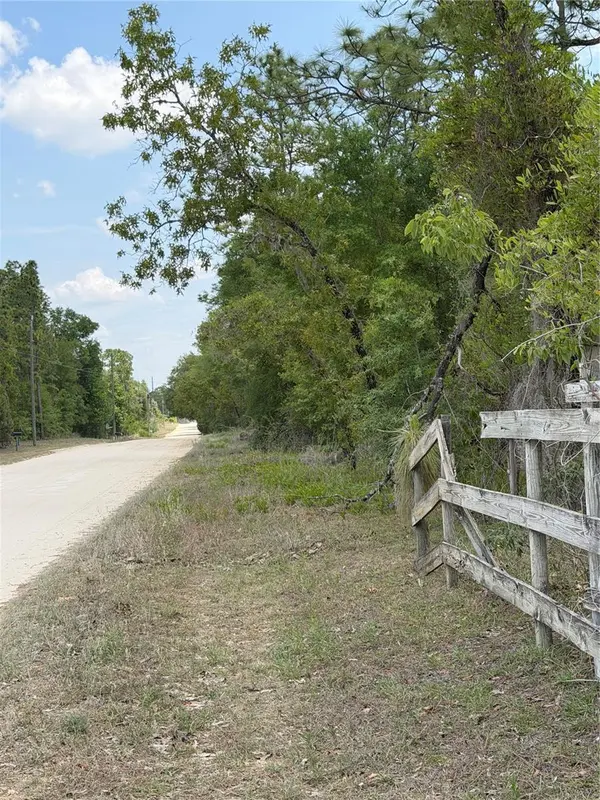 NE 110TH AVE, Bronson, FL 32621