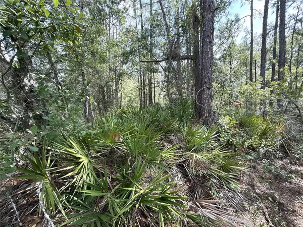 0 LAKE CALOOSA LANDING, Frostproof, FL 33843