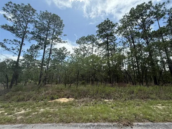 TBD TREE TOP RD, Dunnellon, FL 34431