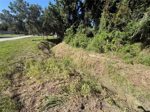DOSSEY RD S, Lakeland, FL 33811