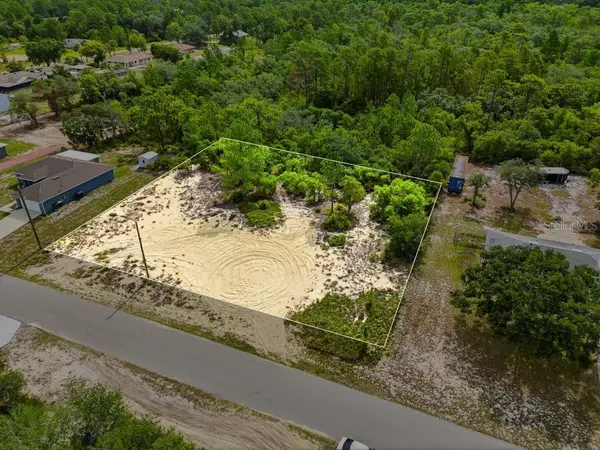 LEMON DR, Lake Wales, FL 33898