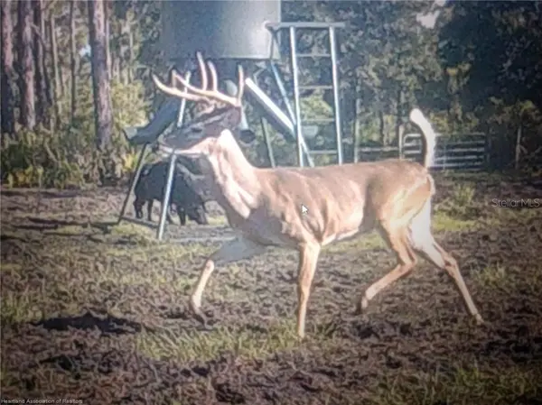 17470 COUNTY ROAD 731, Venus, FL 33960