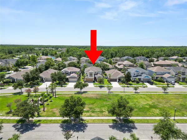 8775 SENTIERO DR, Land O Lakes, FL 34637