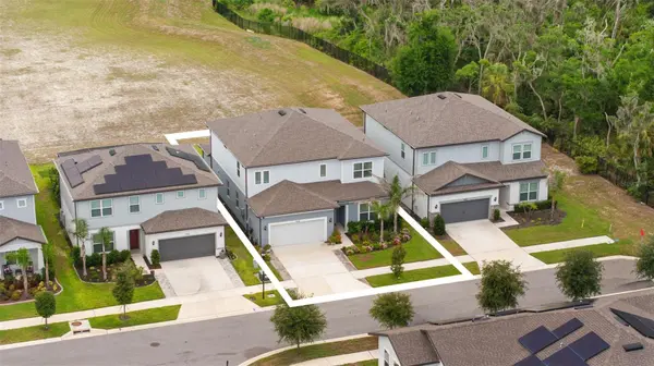 11490 CALUSA TRAILS WAY, Riverview, FL 33569