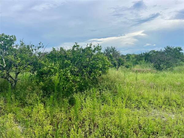 HAYMAN RD, Wauchula, FL 33873