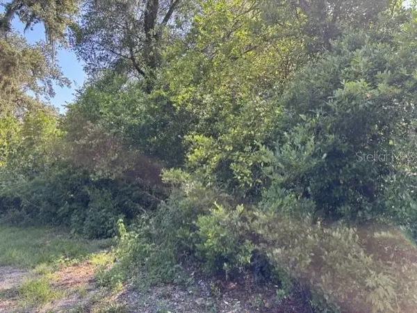 7157 GLORY RD, Zephyrhills, FL 33540