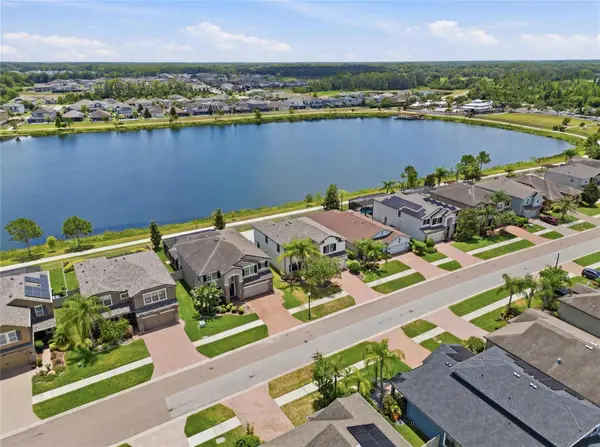 1806 NATURE VIEW DR, Lutz, FL 33558