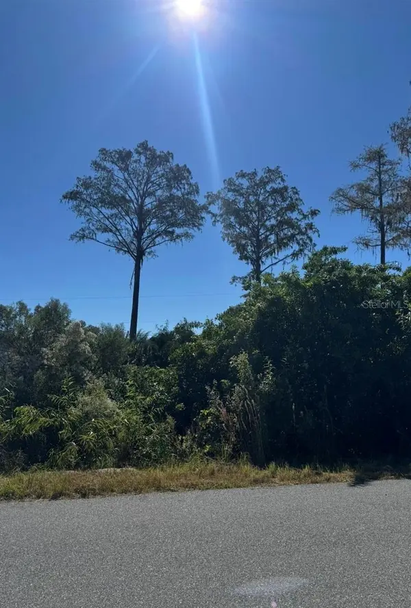 1450 TOWTON ST SE, Palm Bay, FL 32909