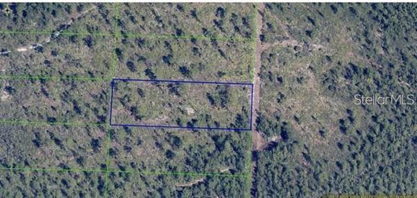DILL RD, Orlando, FL 32820