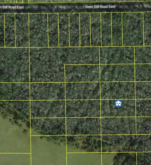 DEEN STILL RD E, Polk City, FL 33868