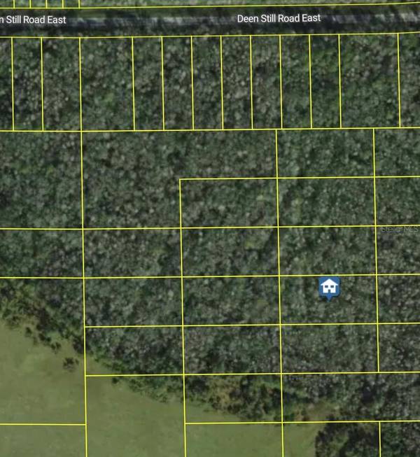 DEEN STILL RD E, Polk City, FL 33868