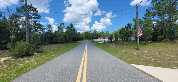 10339 N G MARTINELLI BLVD, Citrus Springs, FL 34433