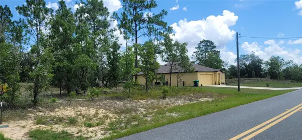 10339 N G MARTINELLI BLVD, Citrus Springs, FL 34433