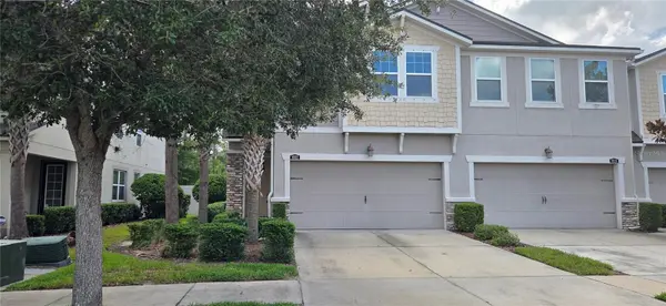 10322 HOLSTEIN EDGE PL, Riverview, FL 33569