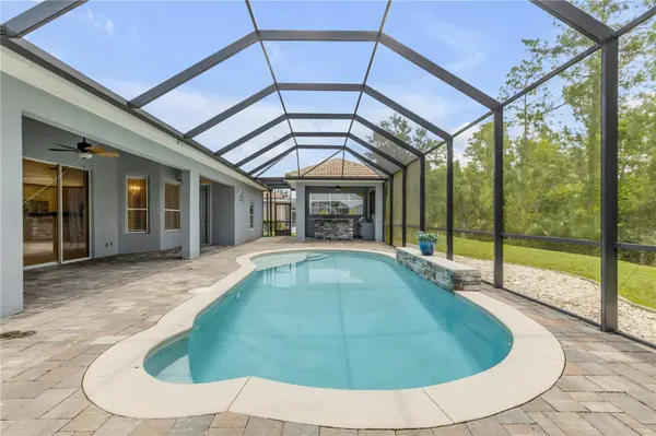 3550 GRANDE TUSCANY WAY, New Smyrna Beach, FL 32168