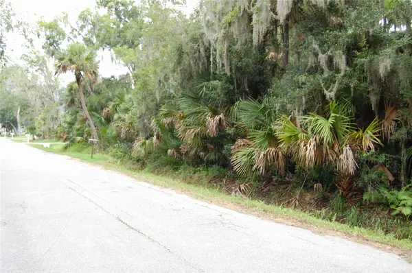 PALM DR, New Smyrna Beach, FL 32168
