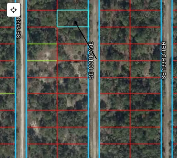 TBD 133RD AVE, Dunnellon, FL 34431