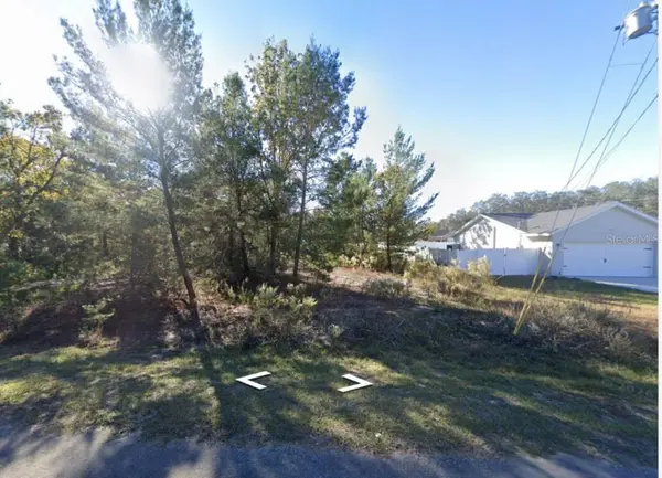 22 FISHER RUN LN, Ocklawaha, FL 32179