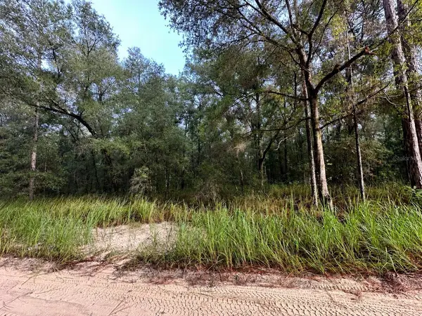 SW 40TH ST, Ocala, FL 34481
