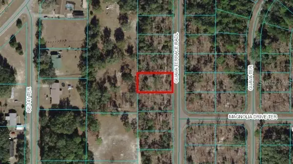 0 GUAVA TERRACE RADIAL, Ocklawaha, FL 32179