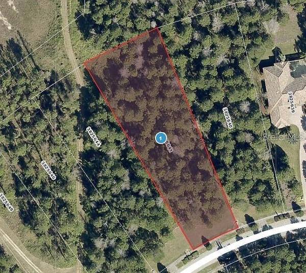16036 PENDIO DR, Bella Collina, FL 34756