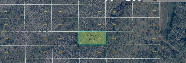 DILL RD, Orlando, FL 32820