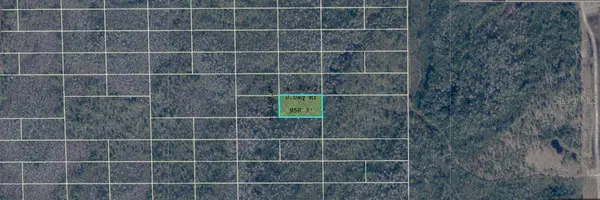 DILL RD, Orlando, FL 32820