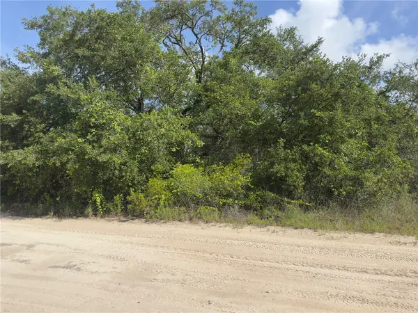 8389 SW 155TH ST, Dunnellon, FL 34432