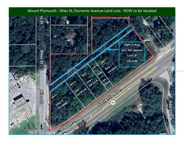 SORRENTO AVE, Mount Plymouth, FL 32776