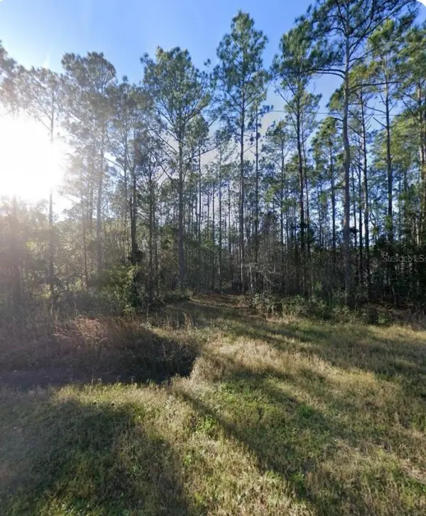 9930 CROTTY AVE, Hastings, FL 32145