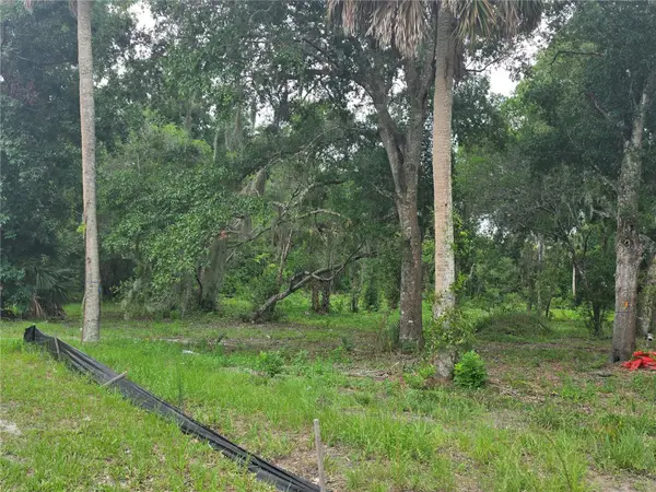 180 OAK DR, Osteen, FL 32764