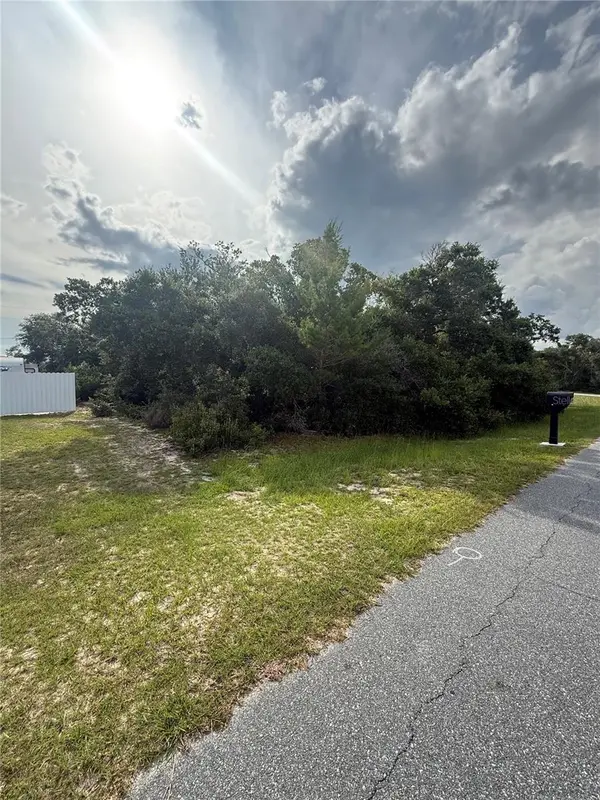 TBD SW 161ST LOOP, Ocala, FL 34473