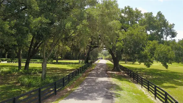 16945 W PHIL C PETERS RD, Winter Garden, FL 34787