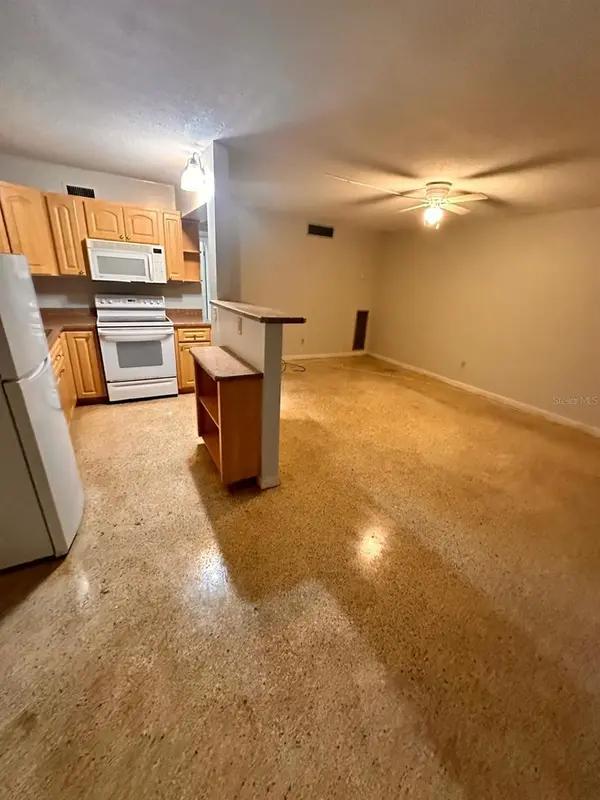 305 E DAKIN AVE #11, Kissimmee, FL 34741