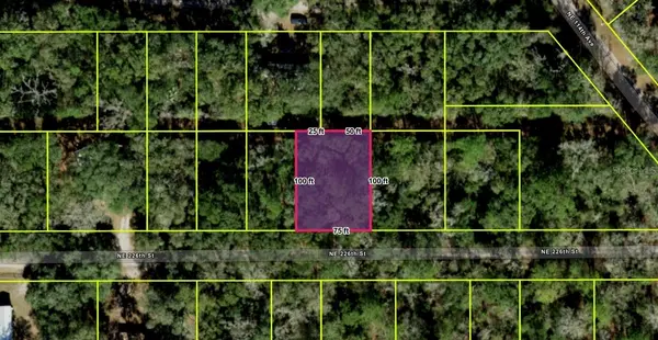 NE 112TH TER, Fort Mc Coy, FL 32134