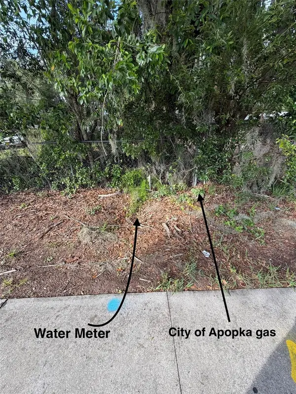 1185 APOPKA BLVD, Apopka, FL 32703
