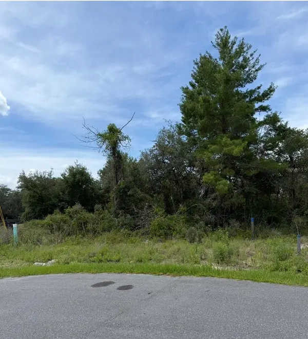 1205 WAVERLY PL, Kissimmee, FL 34759