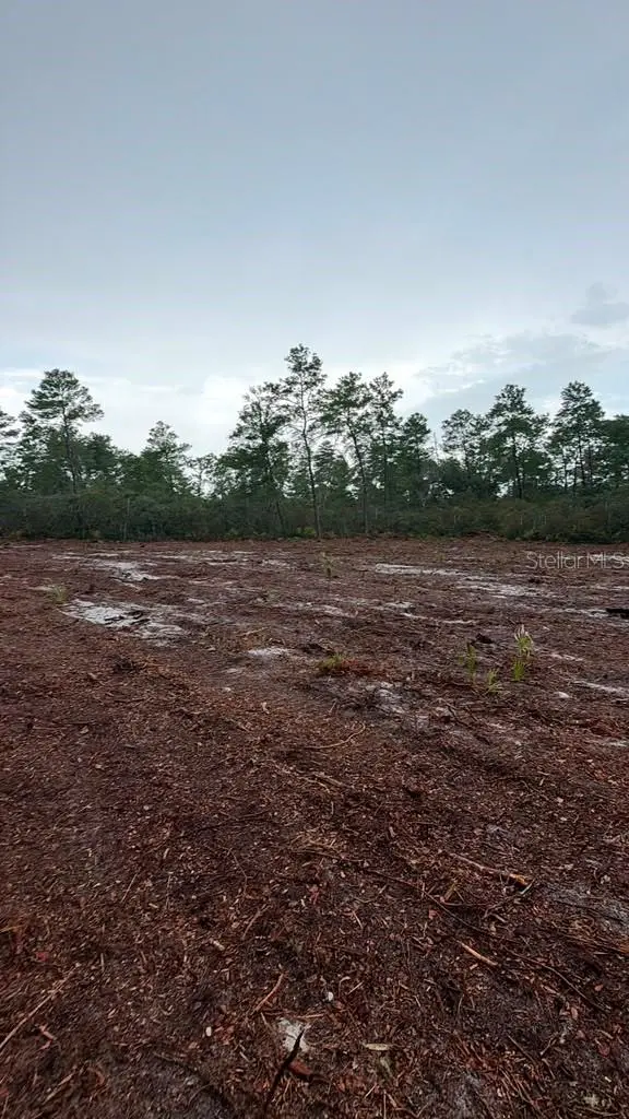 FISHER WAY TRAK, Ocklawaha, FL 32179