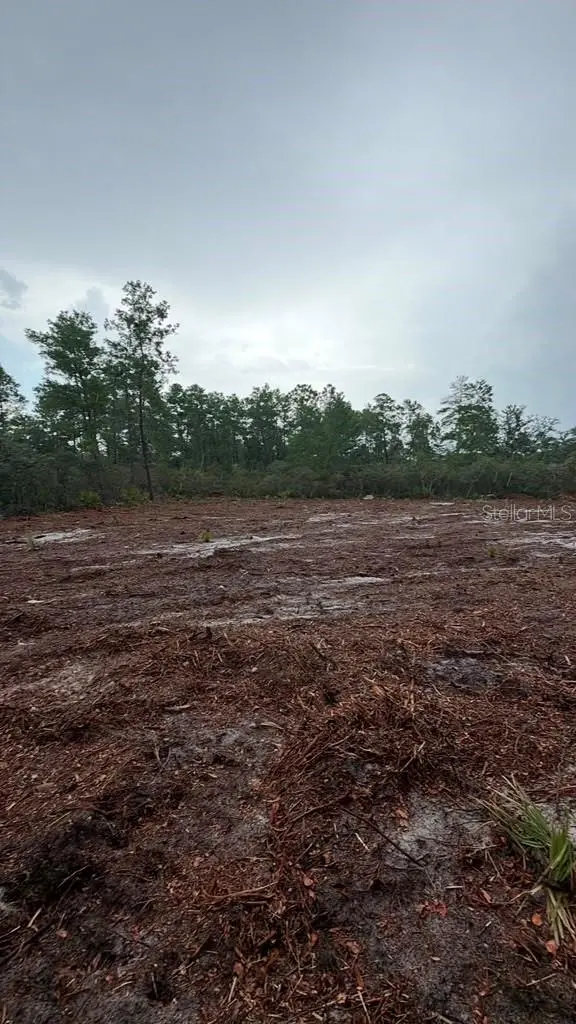 FISHER WAY TRAK, Ocklawaha, FL 32179