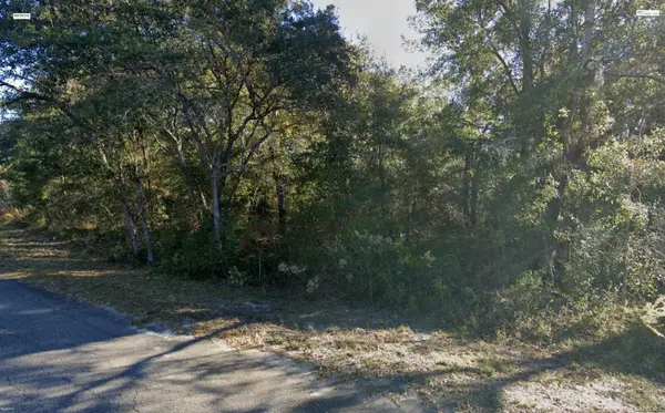 FISHER LANE PL, Ocklawaha, FL 32179