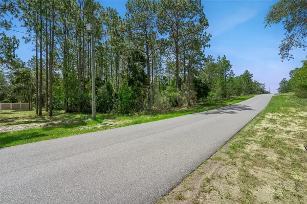 4181 W MALALUKA CIR, Citrus Springs, FL 34433