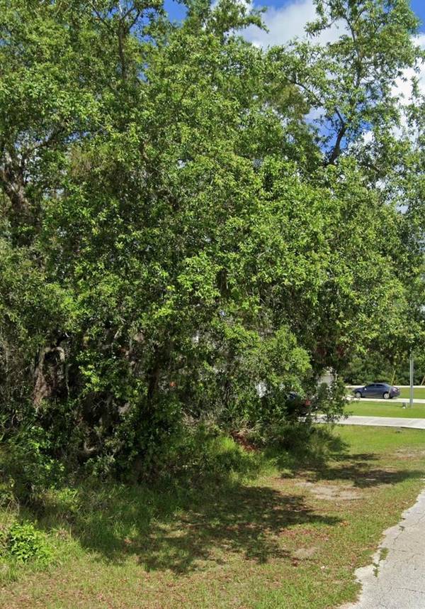 1504 ELOISE CT, Kissimmee, FL 34759