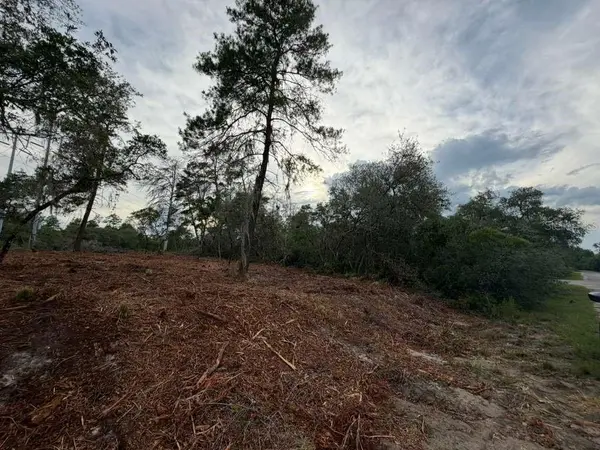 SEQUOIA TRL, Ocklawaha, FL 32179