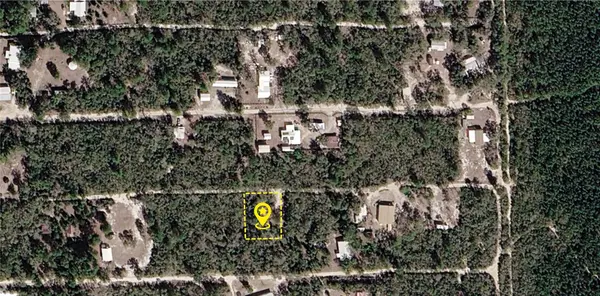 XXX NE 234TH LN, Fort Mc Coy, FL 32134